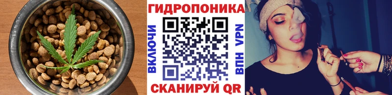 Cannafood конопля  что такое   Кирс 