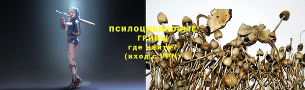 альфа пвп Белокуриха