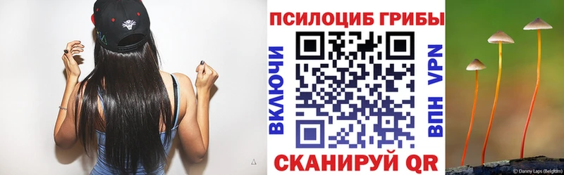 Псилоцибиновые грибы Psilocybe  Кирс 
